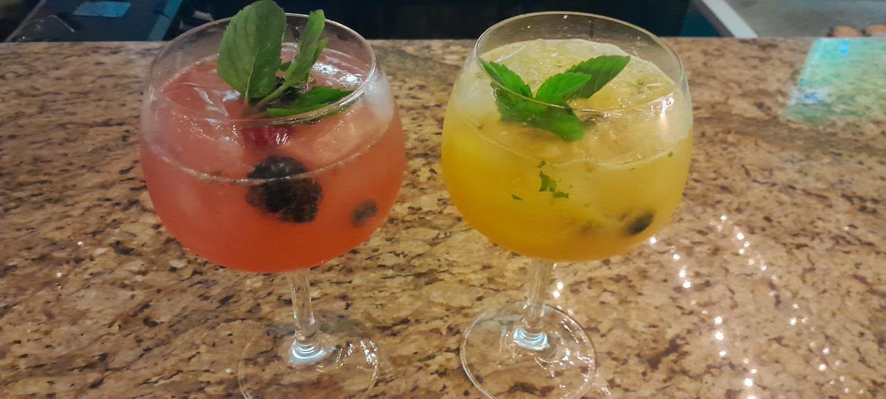 Dos cócteles de Gin & Tonic con frutos y hierbabuena